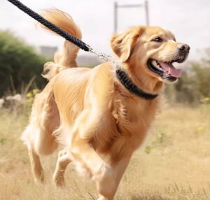  [h n[lX  ^ ^ [h UR ybgpi EH[LO bh ubN u[