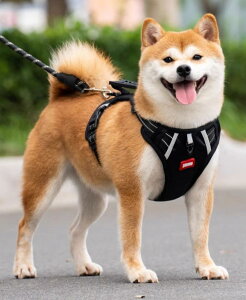  [h n[lX  ^ ^ [v n[lX UR h~ xXg [h ybgpi ubN bh IW