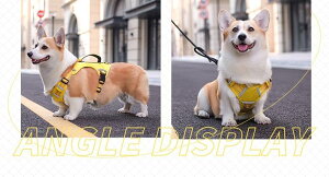  [h n[lX  ^ [h [v ߉\ h~ @\ n[lX u[ lCr[ IW