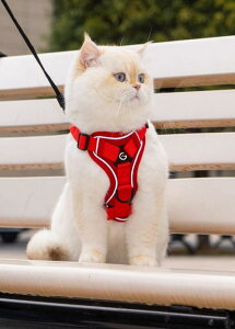  [h n[lX  L  [h xXg oh~ Oo U ybgpi n[lX ߉\ O[ u[ bh