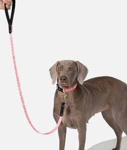  [h n[lX ^ ^ ^ [h ܂Ȃ U Lk qE [u CG[ sN