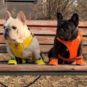  [h n[lX  ^ [v xXg \ n[lX U EH[LO IW CG[ bh