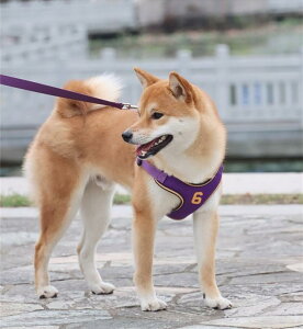  [h n[lX  ^ ^ [v xXg Ռz ʋC U   CG[ bh O[