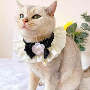 L   悾ꂩ i 킢  ANZT[ ybgpi ubN CG[ sN