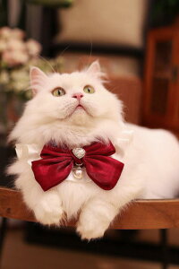 L    킢 ҂ ݏ 悾ꂩ ANZT[ [X bh ubN u[