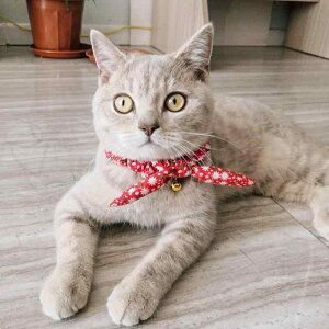 L    ߉\ t  킢 lN^C ANZT[ sN O[