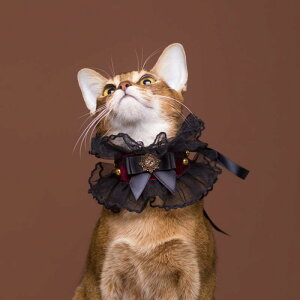 L    [X ybgpi  킢 ANZT[ g ʐ^ Cbh