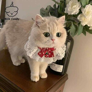 L    [X `[J[ XJ[t ybgpi 悾ꂩ   t bh ubN sN