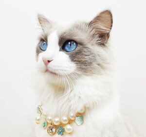 L    lbNX ybgpi  NX}X  ANZT[ S[h O[ ubN