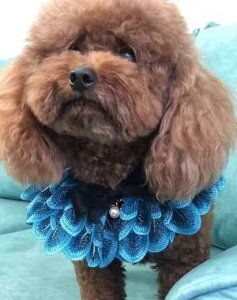 L    悾ꂩ ybgpi `[J[ lN^C  ANZT[ u[