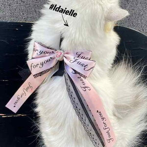 L    [X  UR  n[lX 킢  ANZA[ sN p[v