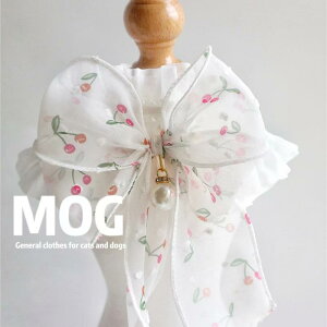 L    [X o_i 悾ꂩ `[J[  ANZT[ sN x[W zCg