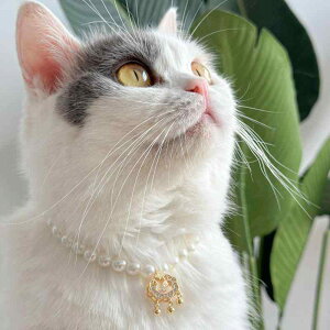 L    [X ybgpi  g ʐ^Be ANZT[ lbNX p[ S[h