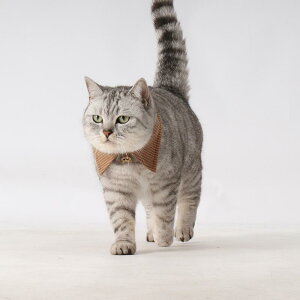 L    g ybgpi eq ߑ lN^C ߉\  ANZT[ uE