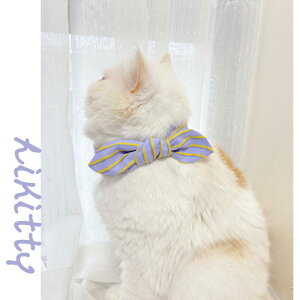 L    [X ybgpi lN^C XgCv [v  ANZT[ u[ p[v zCg