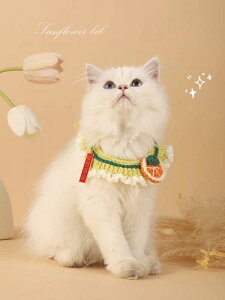 L    킢 L[g XJ[t ۉ ybgpi  ANZT[ H~ IW