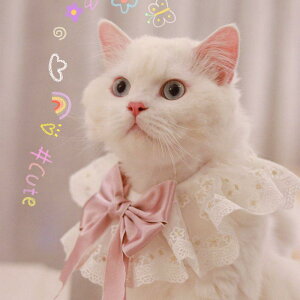 L  ETM   [X ybgpi 悾ꂩ ʐ^Be ANZT[ VN NX}X ubN zCg O[