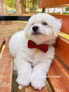 L    lN^C  cj ݊ { ybgpi ANZT[ bh ubN