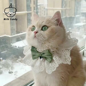 L  ^   [X o_i ybgpi lbNX XJ[t 悾ꂩ   O[ sN F