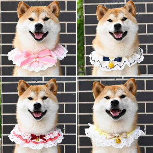 L    [X ybgpi `[J[ lN^C 悾ꂩ XJ[t ANZT[ CG[ ubN sN