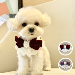 L    [X ybgpi ANZT[ `[J[ t Cbh p[v