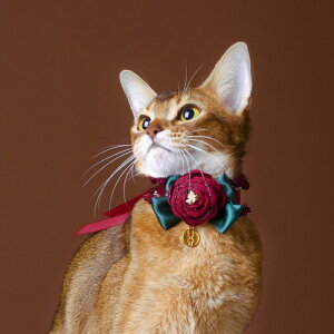 L    j  ԕ lN^C  ANZT[ a lbNX Cbh