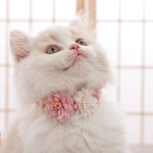 L    [X `[J[ ؍  ʐ^Be EFfBO ybgpi ANZT[ u[ p[v sN