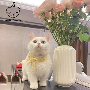 L    [X `[J[ ybgpi t lbNX ANZT[  { CG[ sN u[