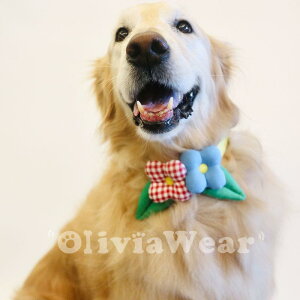 L     ANZT[ i 킢 ybgpi CG[ sN u[