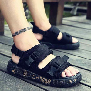 T_ j̎q LbY WjA w w w _炩 \tg\[ ~ h v XG[h JWA ig ʊw W[ AEghA V