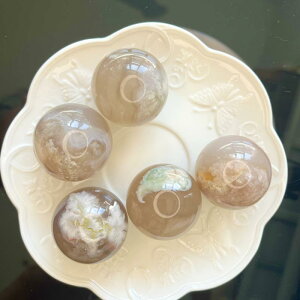  VR   p[Xg[ ۋ  u CeAG  rO fXN ItBX _ Vv  ObY Fn