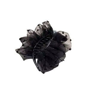 wAANZT[ fB[X z v[c bV V[X[ GKg Vv i pr ʋ ItBX ig cqwA oXNbv  ubN