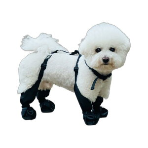 pV[Y hbOu[c Cu[c h ~ ی D U o AEghA ʔNΉ I[V[Y JWAX^C ϖՐ |GXef pC