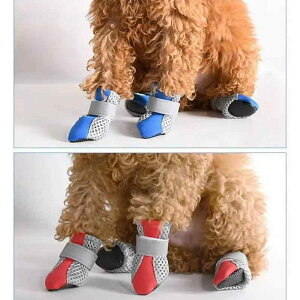 pV[Y ^p hbOu[c  y ʋC bV \tg\[ I[V[Y ی Up Eɂ ~ h~ Op 4Zbg