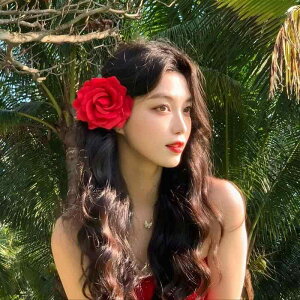 wAANZT[ fB[X [Y o Ԃ  wANbv  TChNbv  bh xxbg xA ؂₩ GKg p[eB[