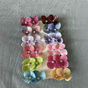 wANbv fB[X tFCNp[ AWTC Ԃт t[`[t _bJ[Nbv }`J[ XC[g tF~j K[[   ig o i ؂₩