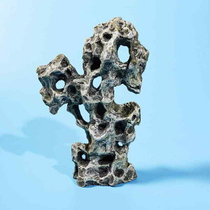 ANAE p CAEg   [ lH ΐΕ Ε A TCY i IuWF u i