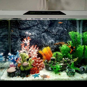  ANAE CAEg p lH X tFCN R[ [  lH EH[^[XP[v IuWF Zbg A C i fR[V CeA ̉B i 