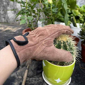 Ɨp AEghA Lv n ݍ ^ H  BBQ ϔM ω ϖ ~ v {v Obv  uEn ƃO[u