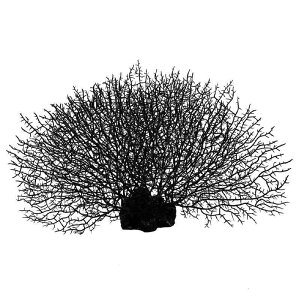 水槽 オーナメント アクアリウム 装飾 シリコン製 リアル 珊瑚 枝状 ツリー型 カラフル 色鮮やか フェイク コーラル レイアウト 水中 置物