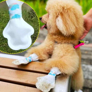 pC ĝ Jo[ hbOV[Y U o h ~ ϖ sDz D ΍   ی ی p SΉ y JWA