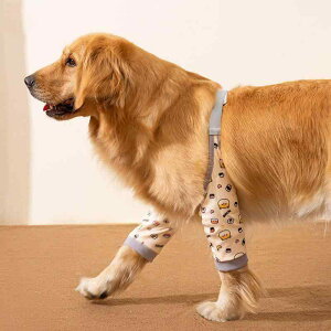 p یEFA G I ֐ T|[^[ p Ch~ h~ ۉ ^ ^ S[fgo[ Č g Nёf