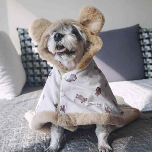 ybgp P[v |` uPbg ѕz H~p  L ^ ^ h΍ ۉ  ӂӂ |GXef _炩ȔG K N}  Aj} vg Q ѕz