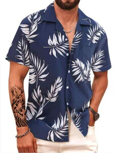 AnVc Y   ԕ o r[` JWA ][g g 3DfW^vg rbOVGbg  X^hJ[ f J݃Vc gbvX