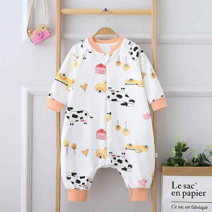 Q xr[ LbY jp I[V[Y  QԂh~ Rh~ 100% d\ ̌^ pW} Jo[I[ 􂦂 킢 