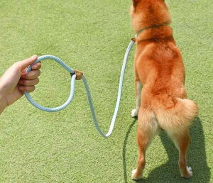  [h n[lX ^ ^ ^ [h n[lX U ߉\ P EH[LO IW sN ubN