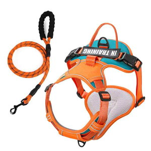  [h n[lX  ^ ^ [v xXg ybgpi ʋC  bh u[ IW