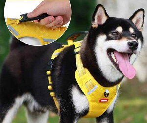  [h n[lX  ^ ^ [v U EH[LO ɂ CG[