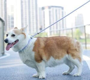  [h n[lX ^ ^ ^ [h n[lX P  U ܂Ȃ p[v sN CG[