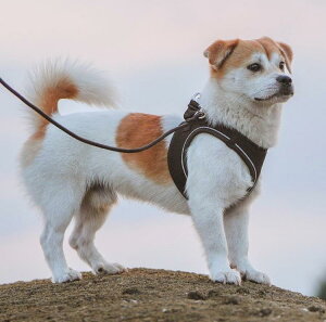  [h n[lX  L ^ ybgpi U [h x[W CG[ Cbh